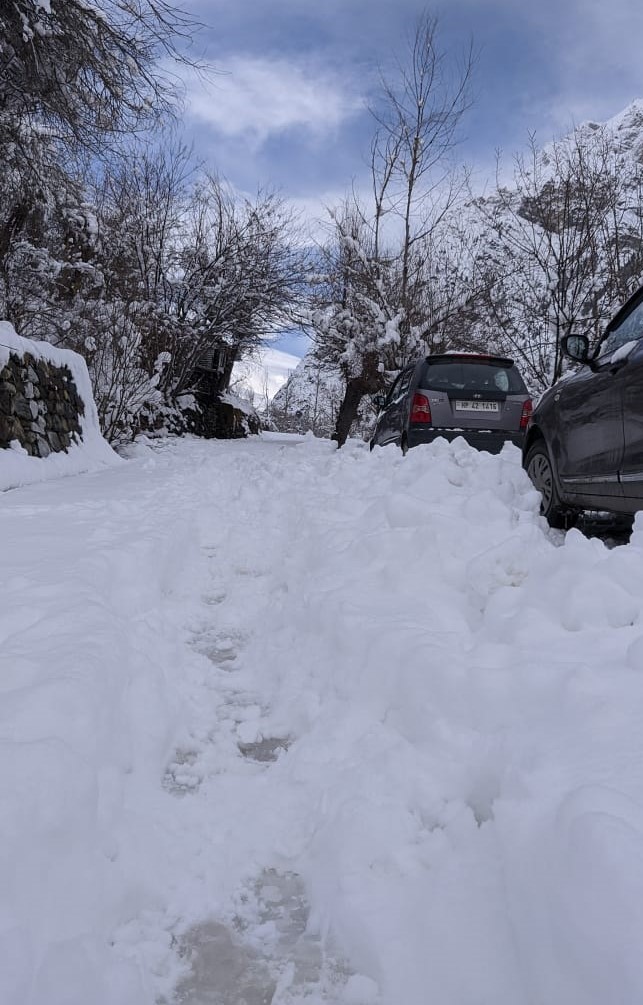 snow fall in himalayas uttharakhand and himachalpradesh