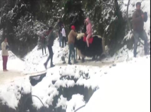 snow fall in himalayas uttharakhand and himachalpradesh