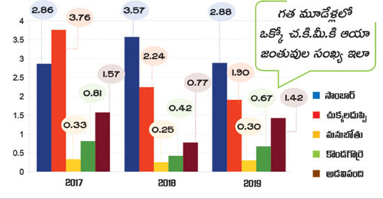 scarcity of food for tigers in nallamala forest