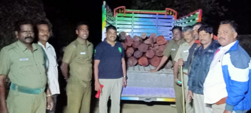 Redwood seized in Tirupattur