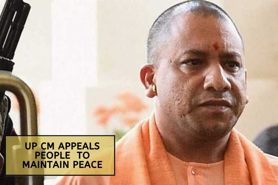 Yogi appeals