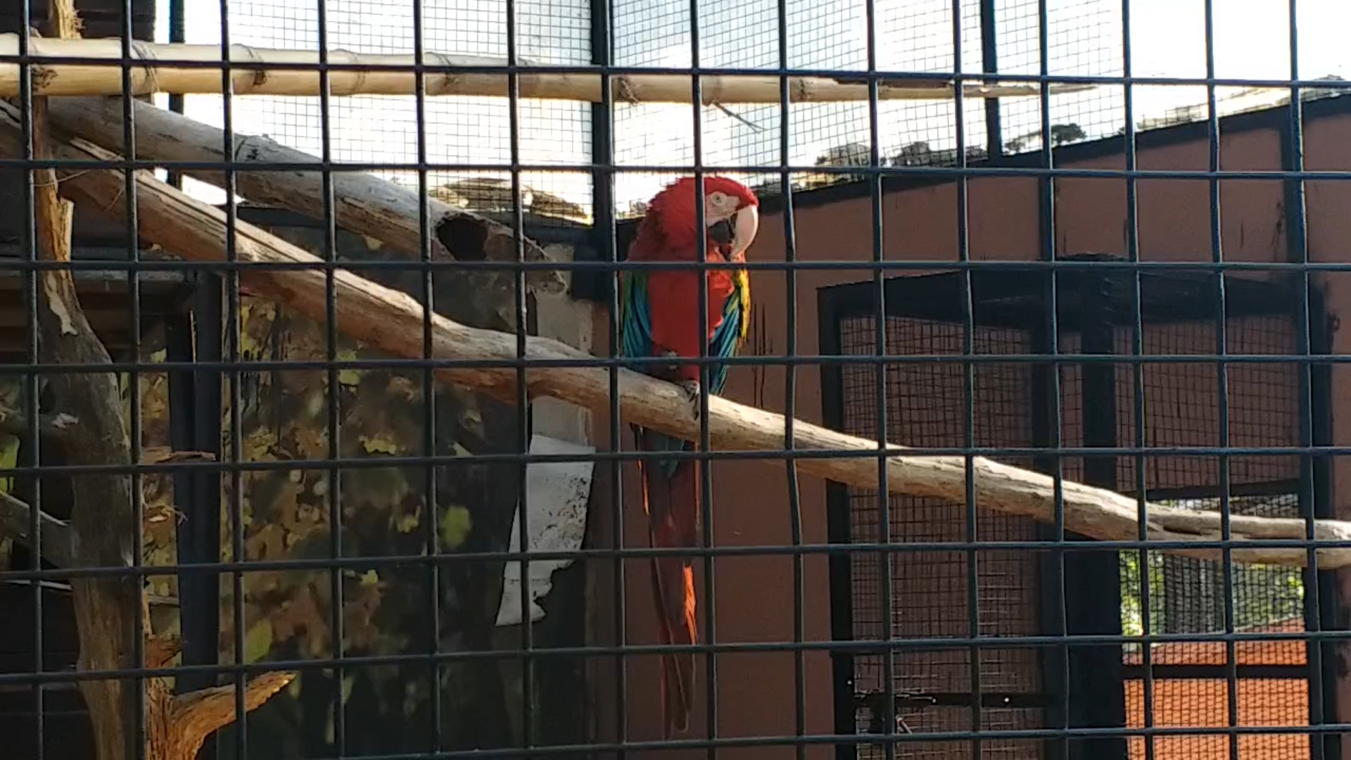 arrangements_for_winter_in_dehradun_zoo