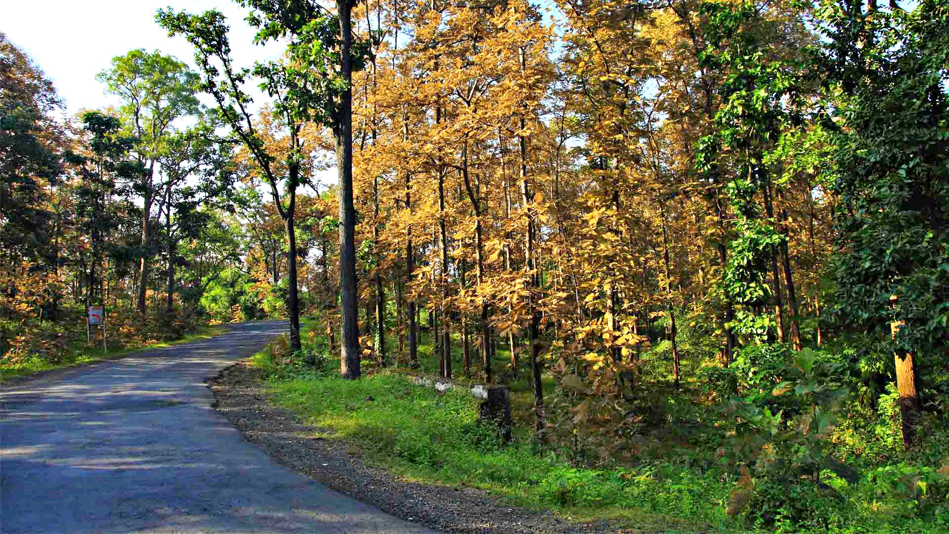 अचानकमार टाइगर रिजर्व