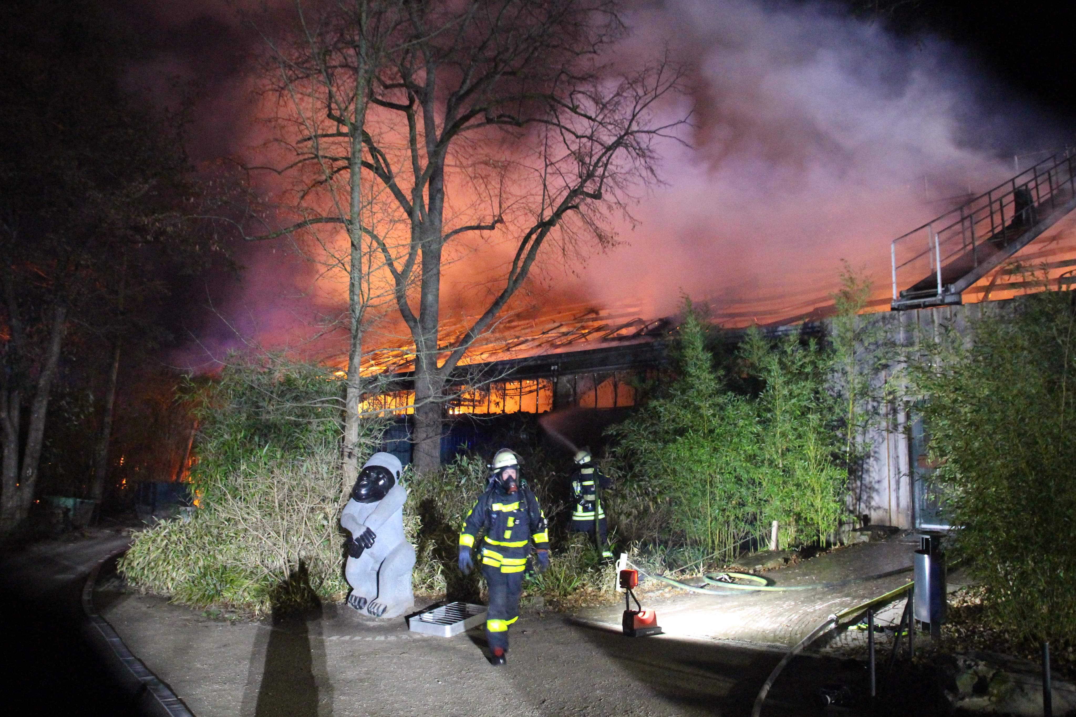 A fire at a zoo in western Germany killed a large number of animals in the early hours of the new year.