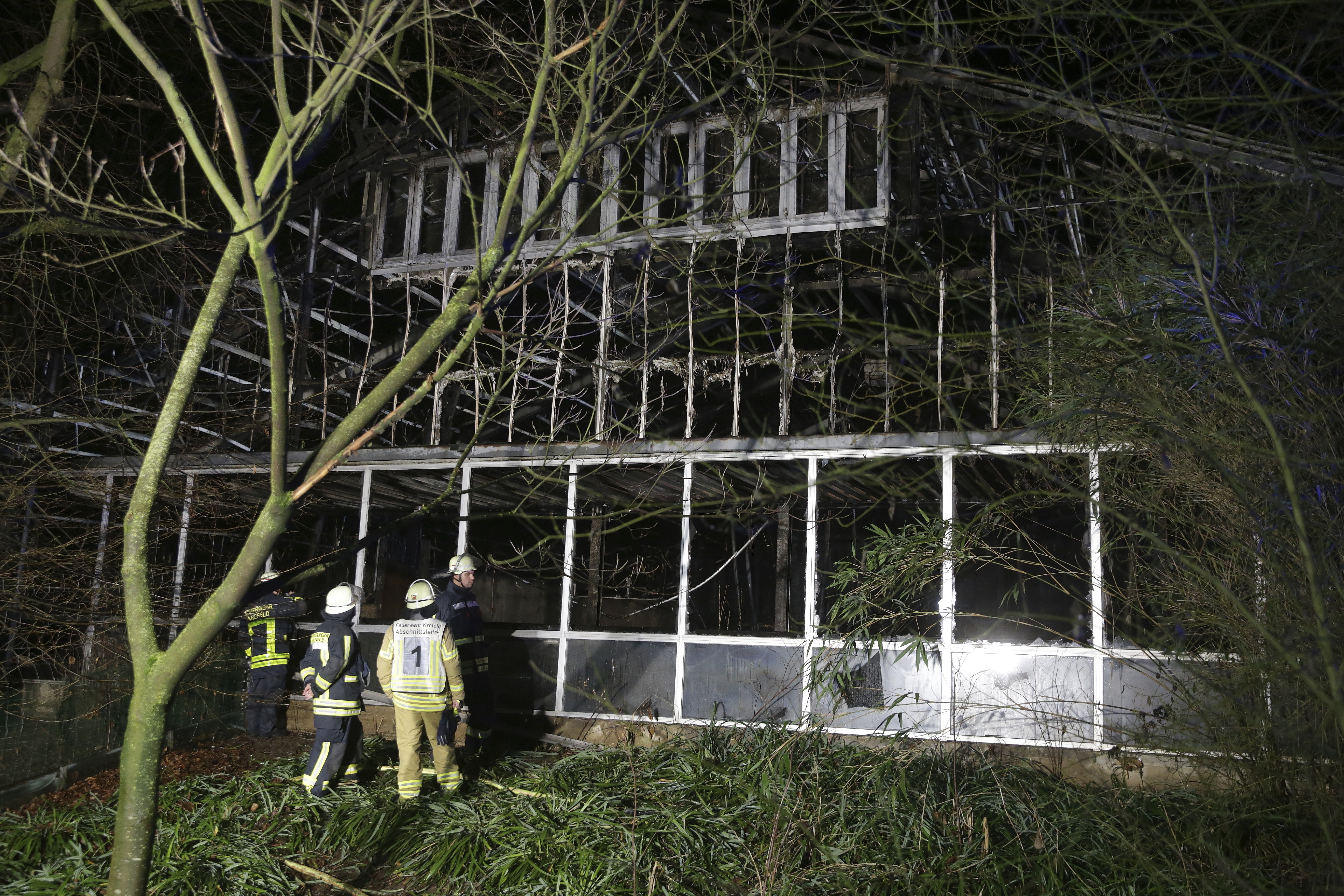 A fire at a zoo in western Germany killed a large number of animals in the early hours of the new year.