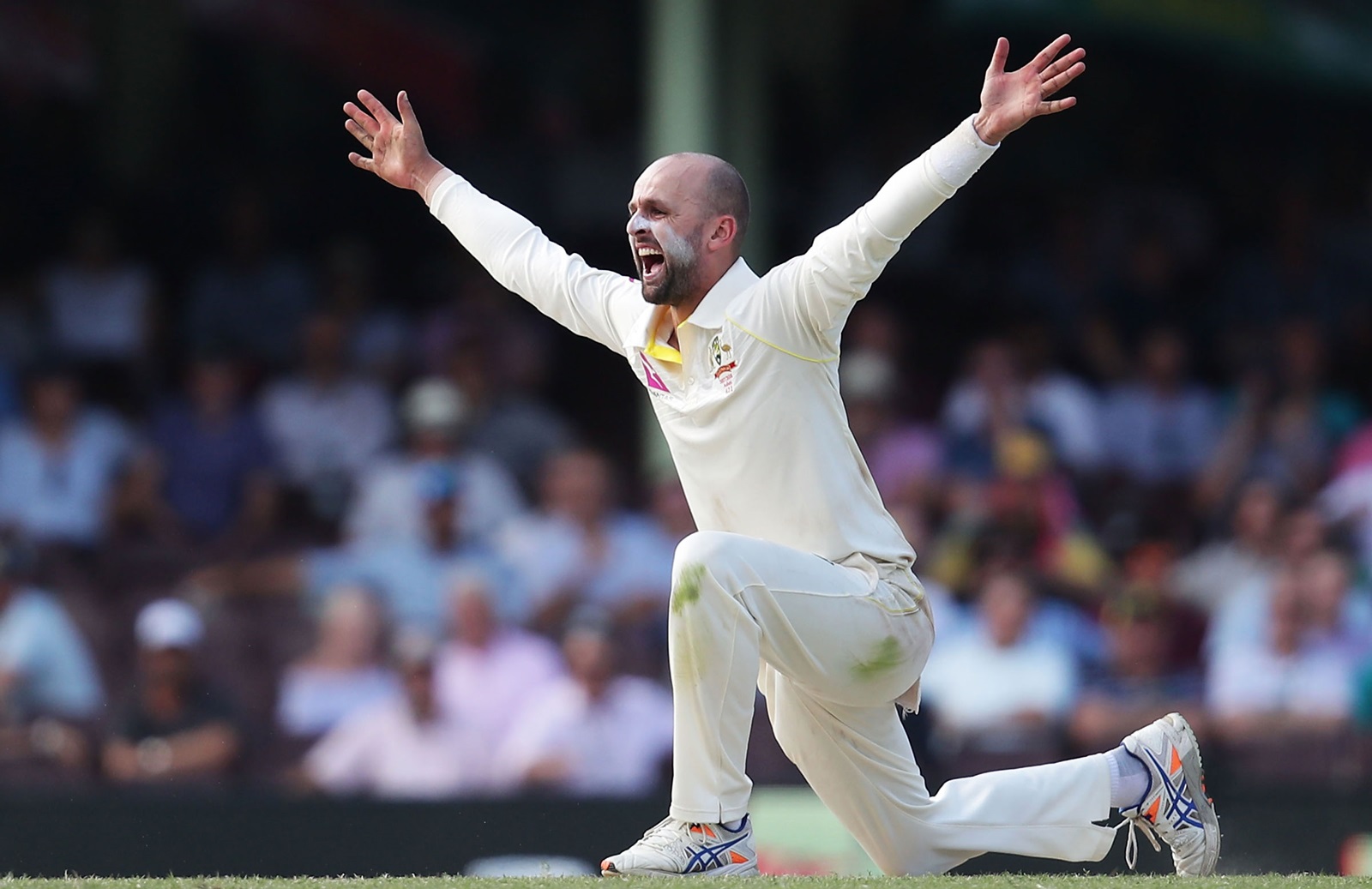 Ashish Nehra, Nathan Lyon