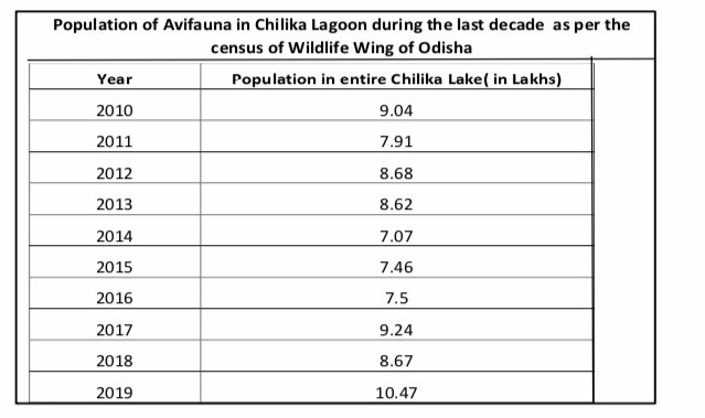 bird census report of chilka lake