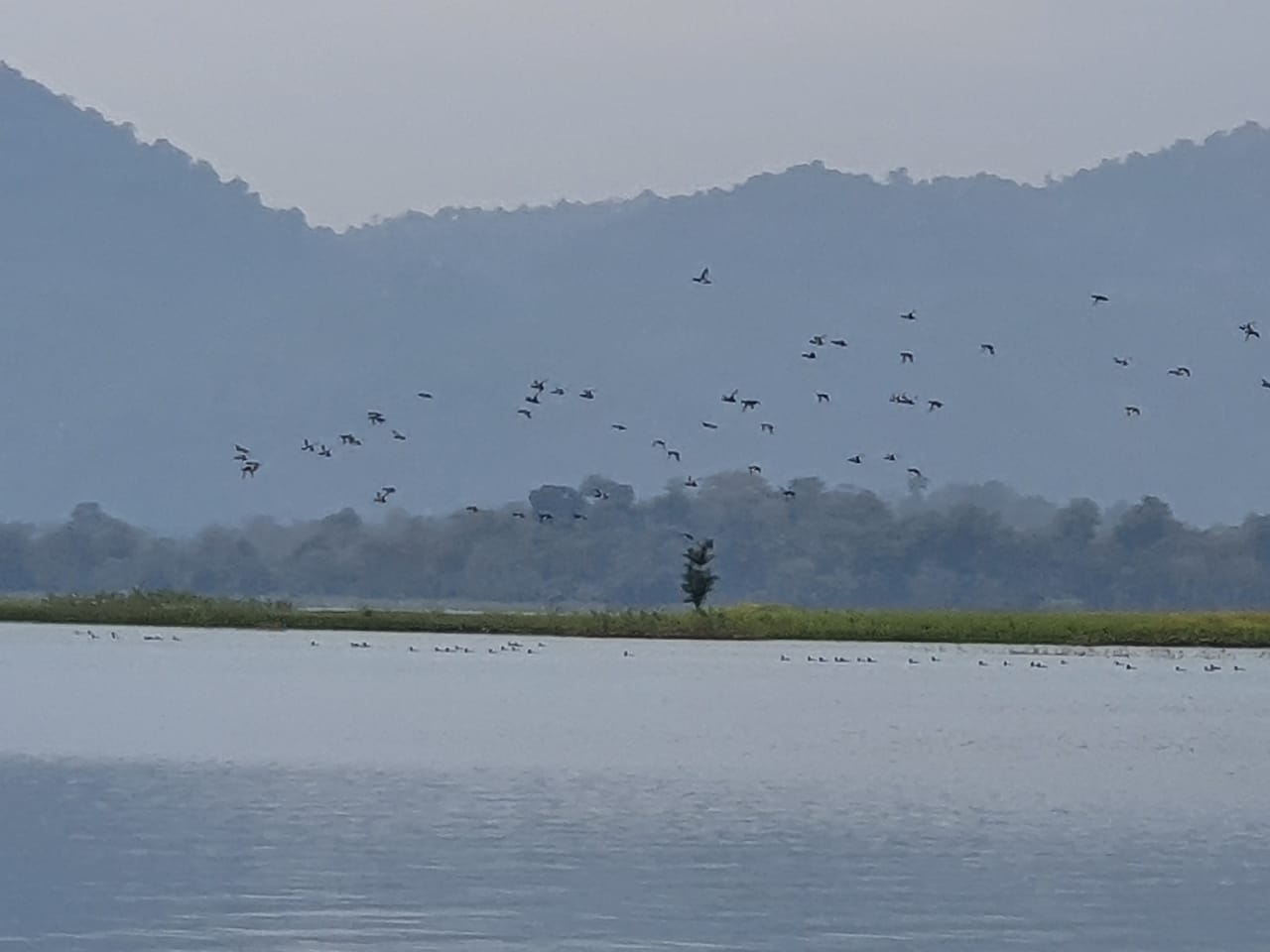 ମାଲକାନଗିରିରେ ପକ୍ଷୀ ଗଣନା ଆରମ୍ଭ