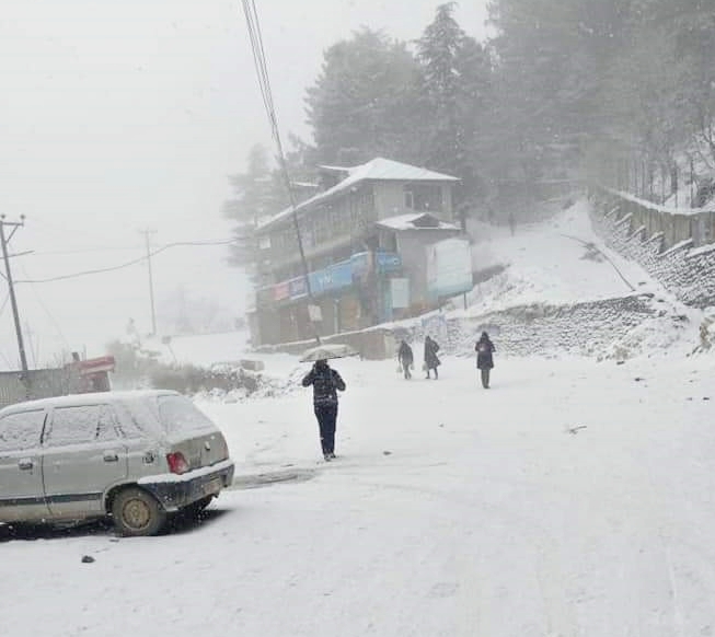 shimla weather on orange alert