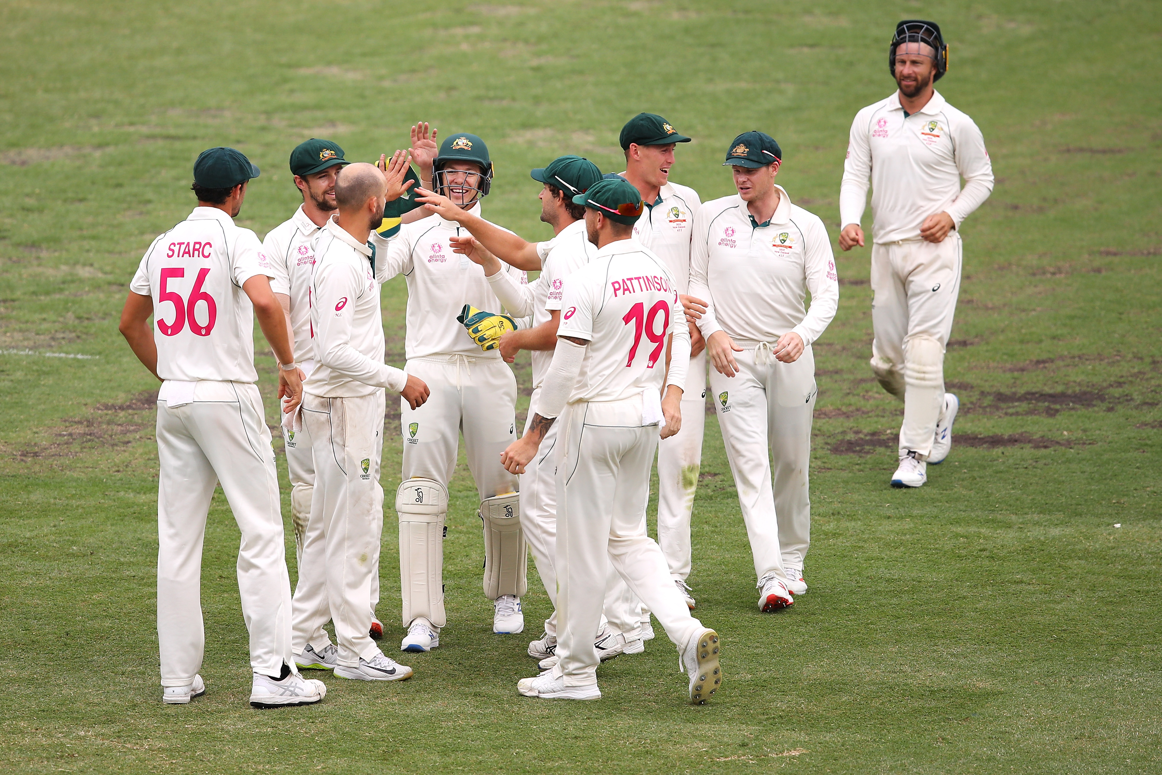 australia clean sweep newzeland in test series