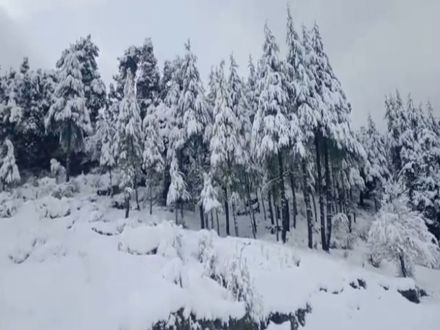 heavy snowfall in uttarakhand.