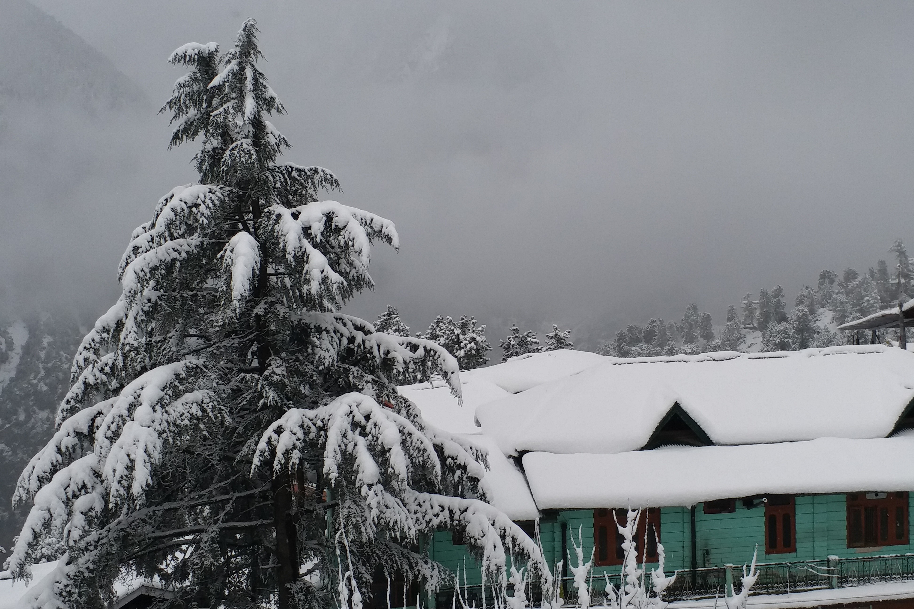 Snowfall in Himachal from last 2 days