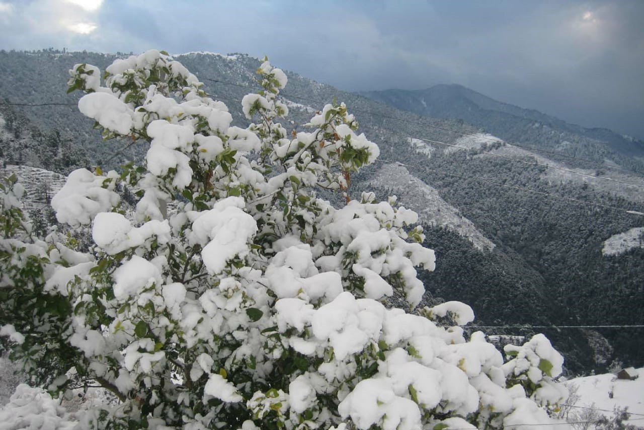 Snowfall in Himachal from last 2 days