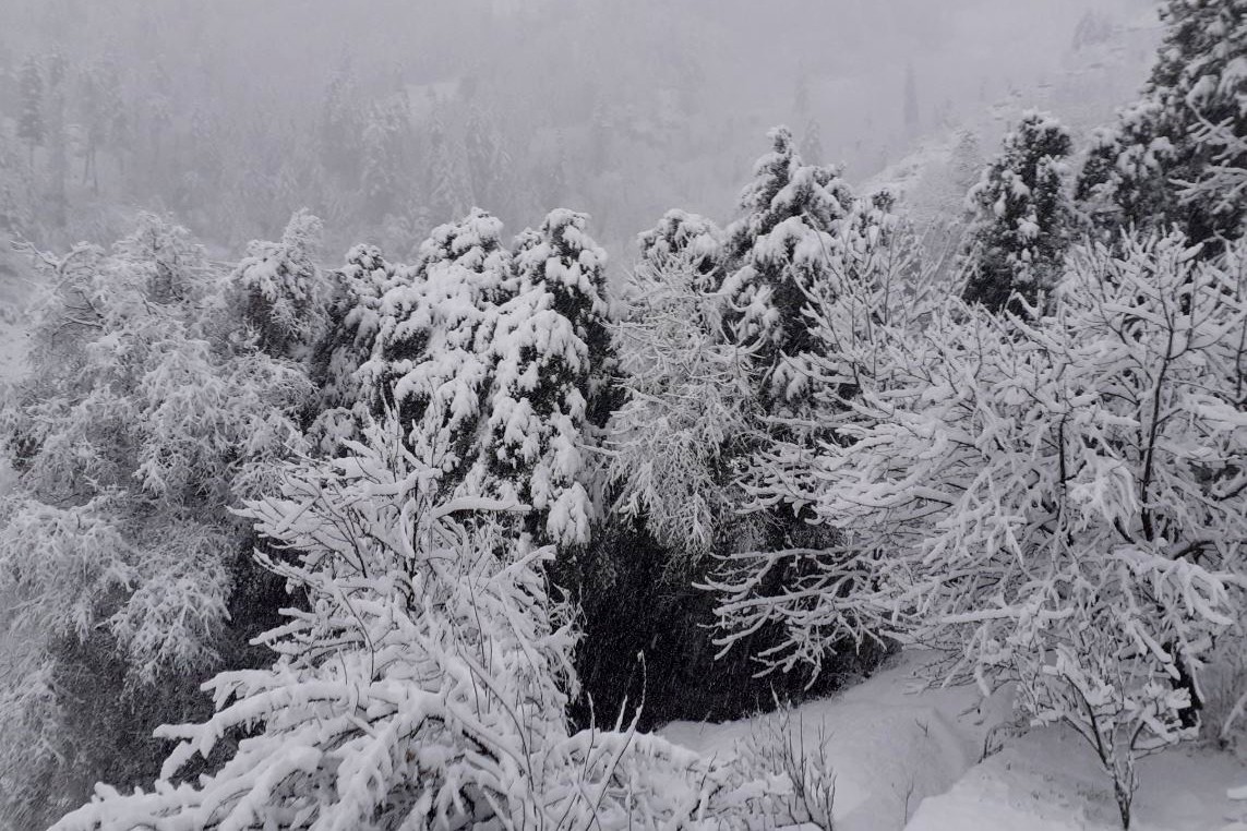 Snowfall in Himachal from last 2 days