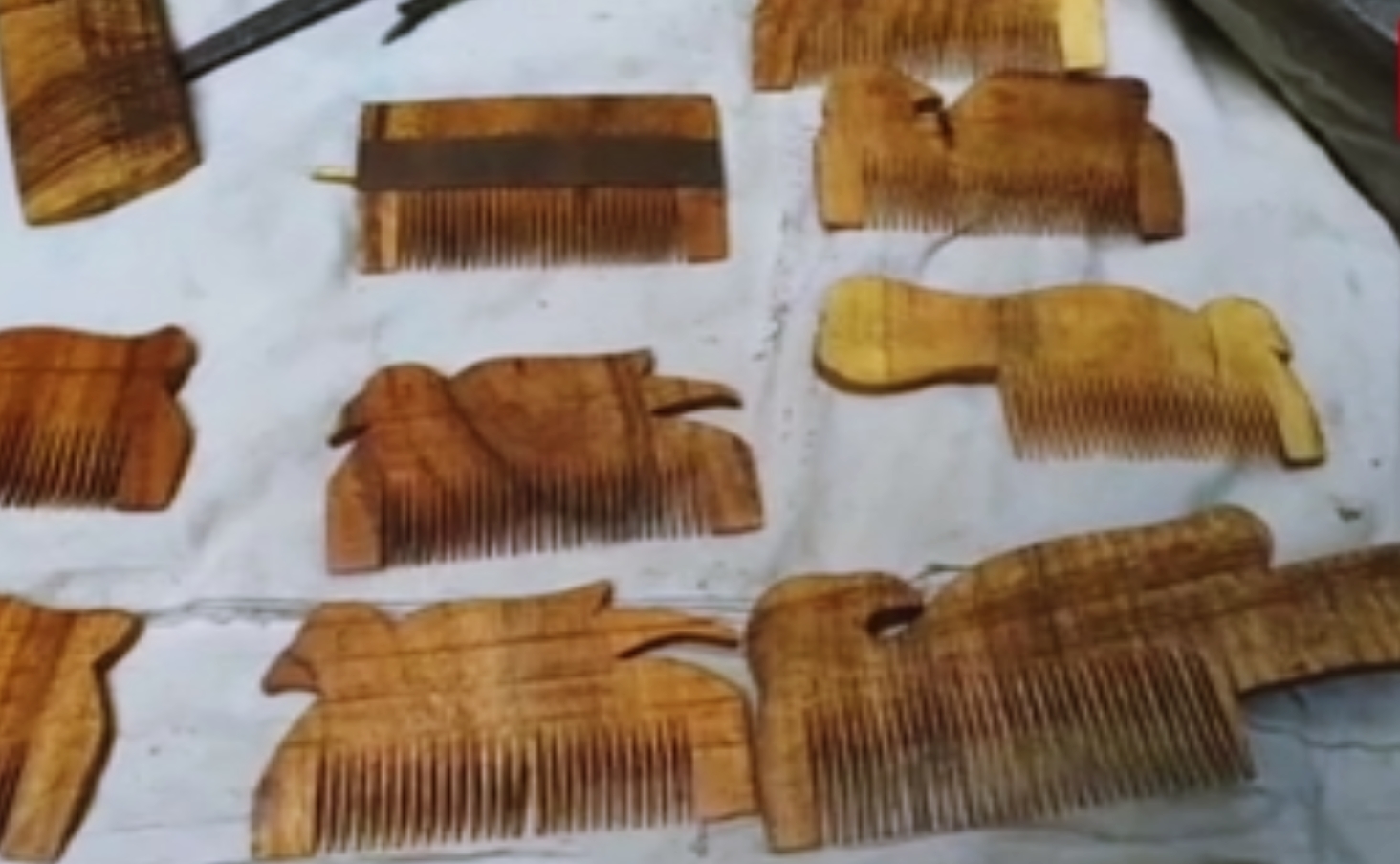 wooden comb maker Chagganlal's message to make country plastic free