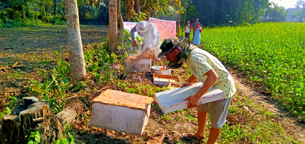 GOLAGHAT HONEY BEE FARM ASSAM NEWS