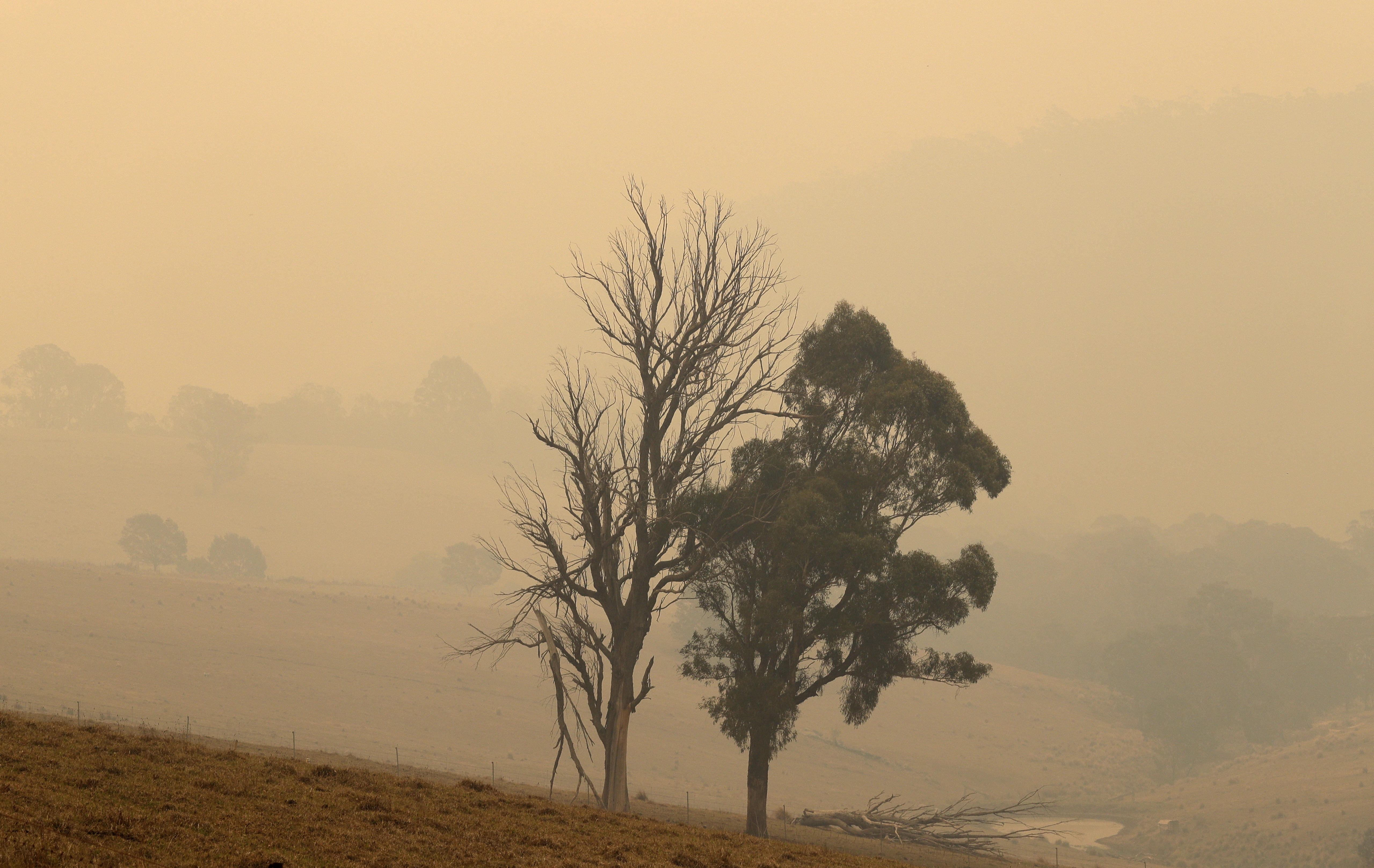 A field is shrouded with smoke haze near Burragate, Australia, on Saturday.