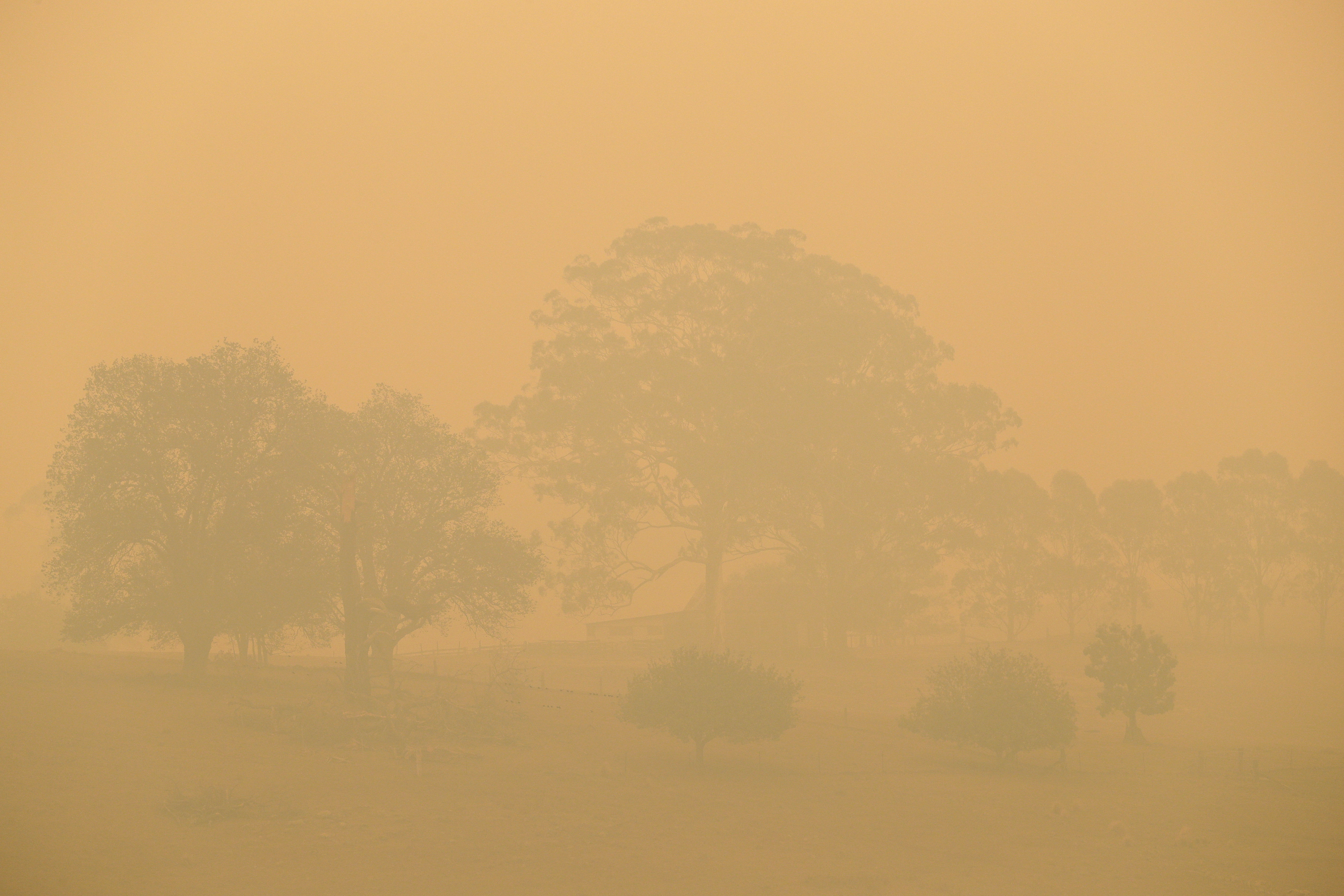 A field is shrouded with smoke haze near Burragate, Australia, on Saturday.