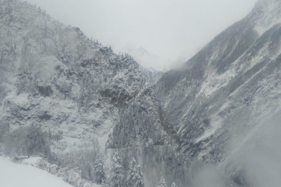 Heavy snowfall in Pangi valley