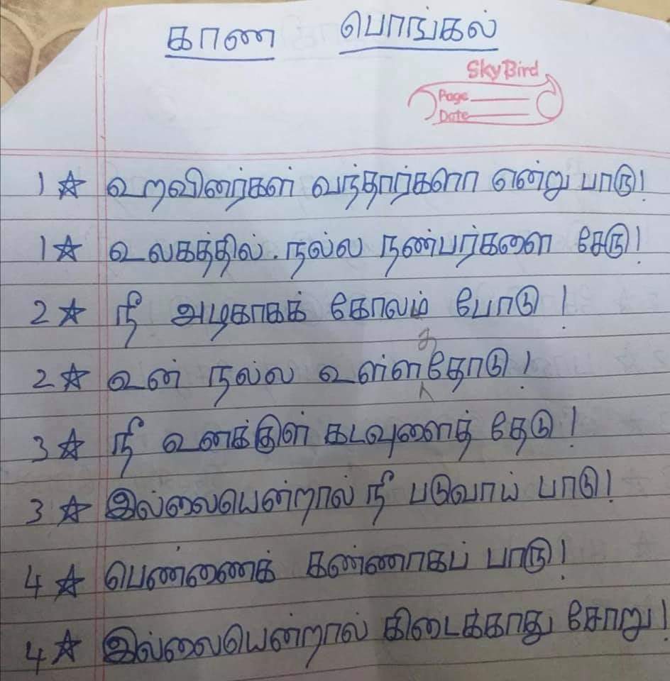 காணும் பொங்கல்