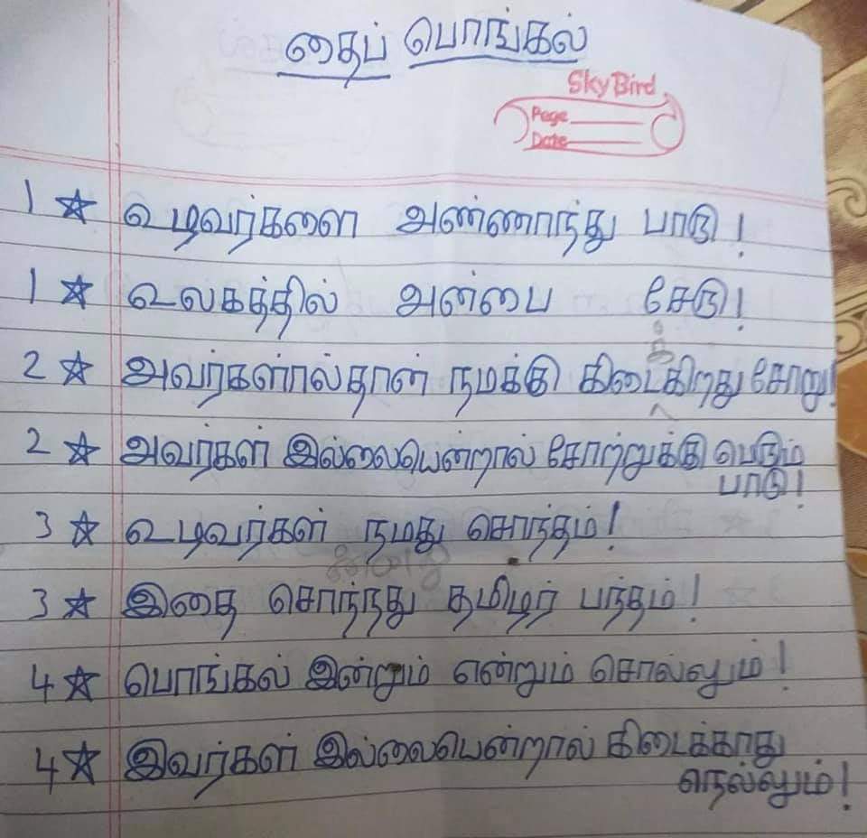 தை பொங்கல்