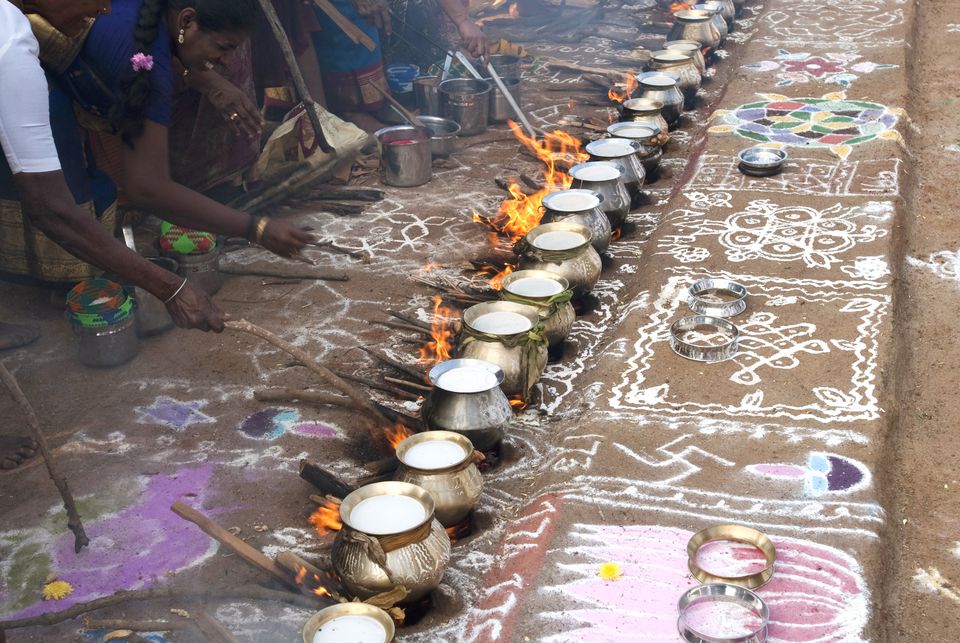 pongal celebrated in south states