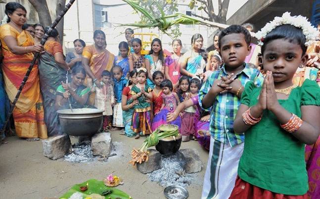 pongal celebrated in south states