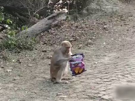 Ghana National Park Bharatpur, Campaign to collect plastic waste