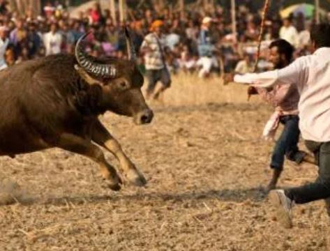 Magh Bihu Festival in Assam