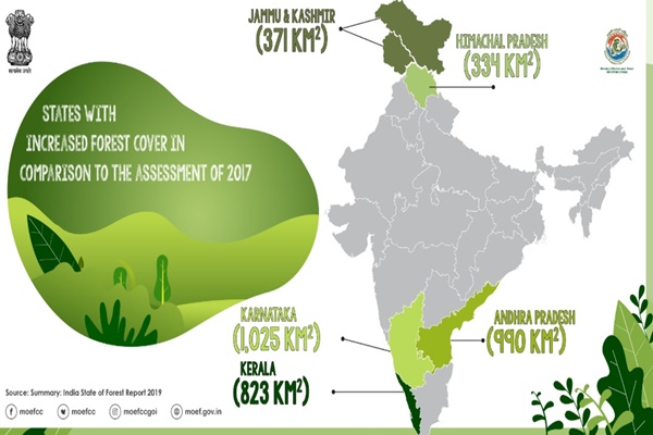 forest, காடுவளர்ப்பு, Afforestation