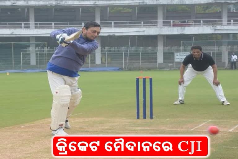 CJI played cricket