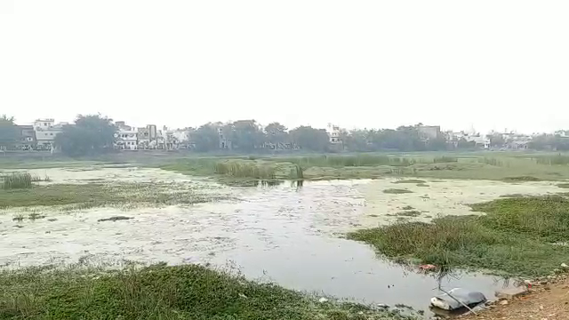 Handipara pond became a cause for trouble in raipur