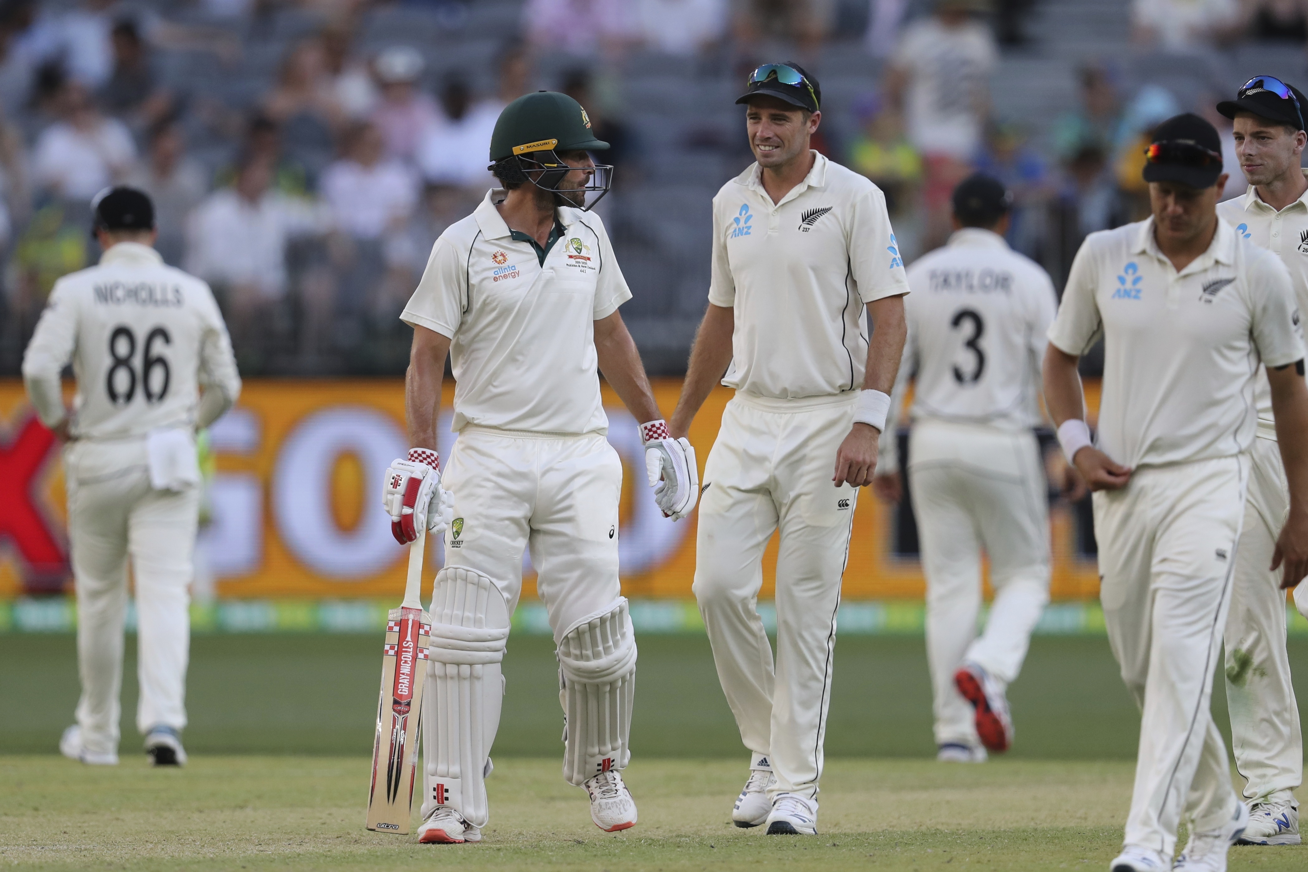 NZvsIND, Tim Southee