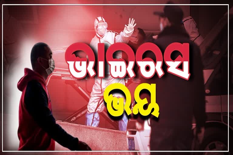 ଡିଜାଇନ ଫଟୋ