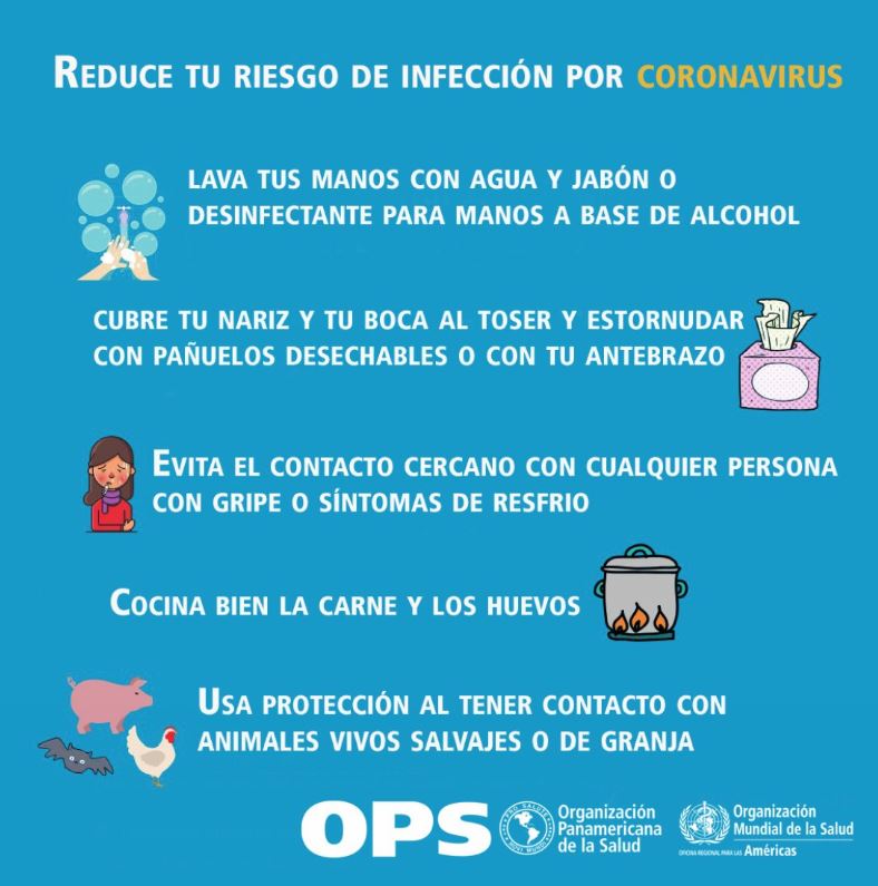 world Health Organization guidelines on Coronavirus