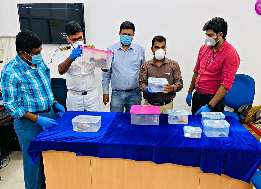 poisonous organisms seized