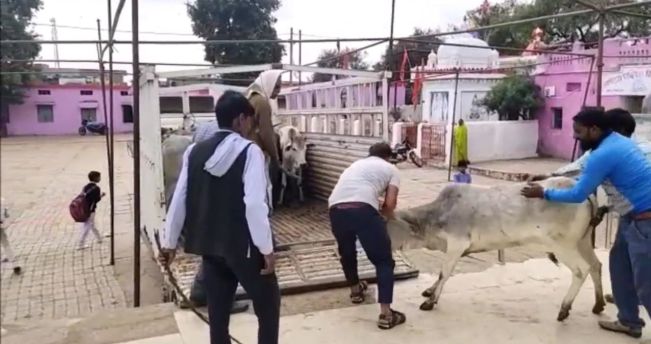 Villagers carrying animals in vehicles