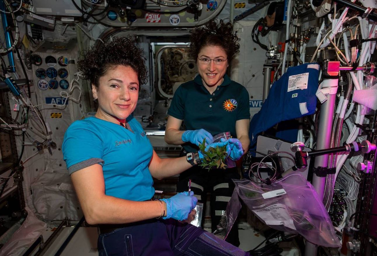 American astronaut Christina Koch returns to Earth