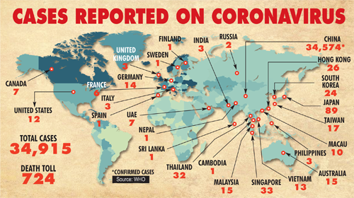 The countries where coronavirus cases have been reported.