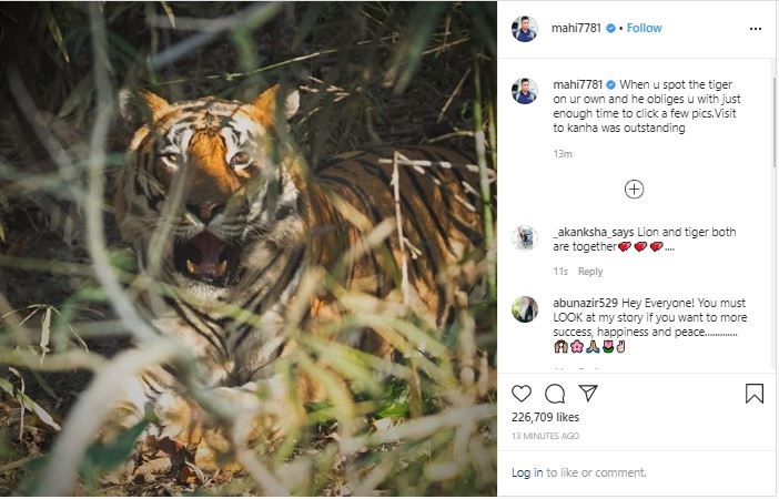 MS Dhoni shares growling glimpse of tiger from kanha visit