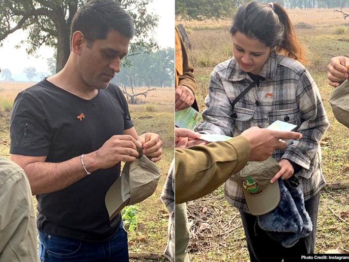 MS Dhoni and Sakshi Dhoni are being handed caps by Kanha Tiger Reserve personnel.