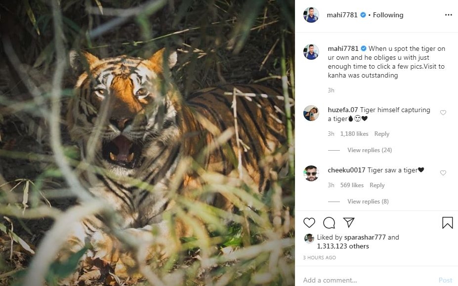 Dhoni posted tiger's photo on Instagram