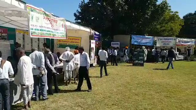 अजमेर न्यूज, राजस्थान न्यूज, ajmer news, rajasthan news, farmers fair in Ajmer, किसान मेले का आगाज, राष्ट्रीय बीजीय मसाला अनुसंधान केंद्र