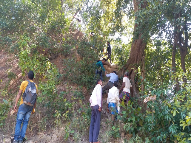 5 crore year old plant in the forests of Korba