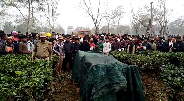 TINSUKIA DODOMA LEOPARD CAUGHT BY FOREST DEPARTMENT ASSAM