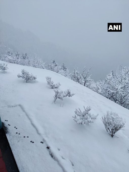 Himachal Pradesh: Mandhol village in Shimla district received snowfall today