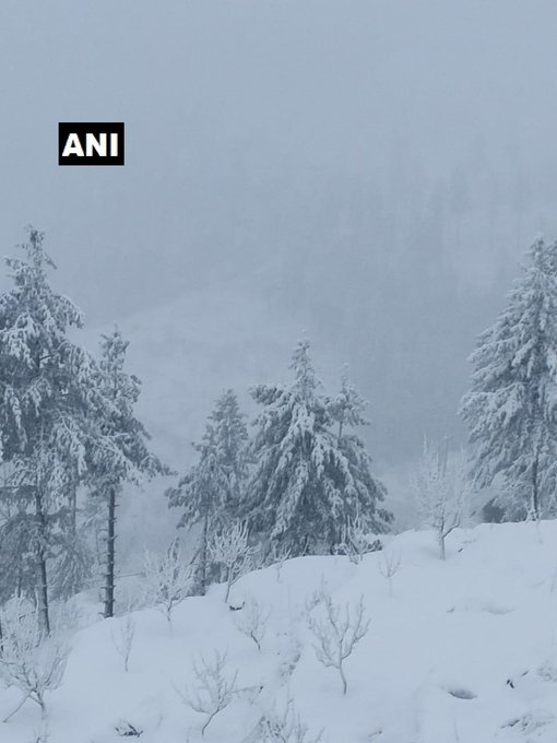 Himachal Pradesh: Mandhol village in Shimla district received snowfall today