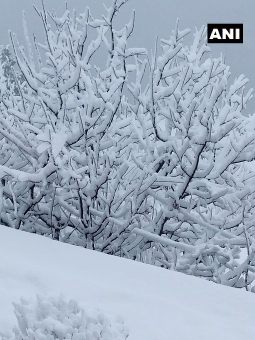 Himachal Pradesh: Mandhol village in Shimla district received snowfall today