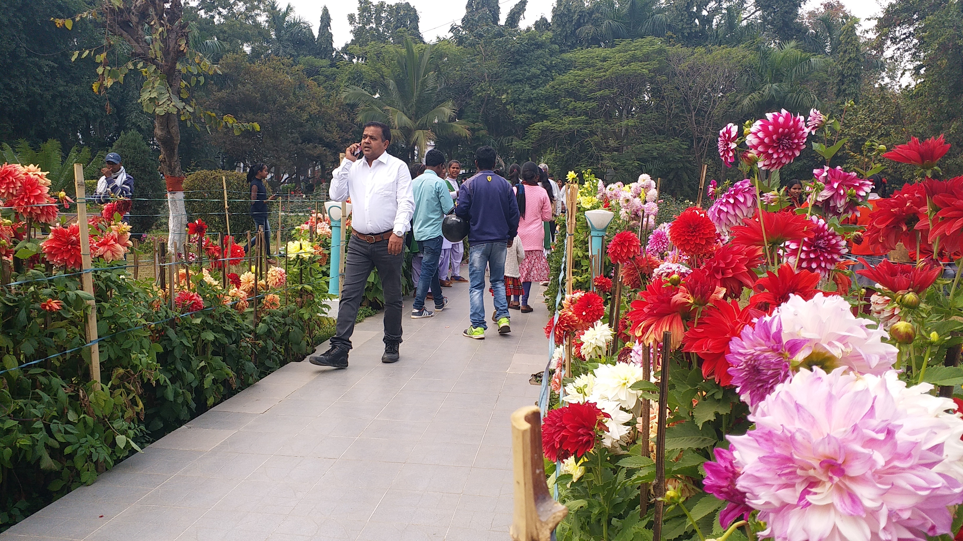 almost 7 lakh visited Raj Bhavan garden in 15 days