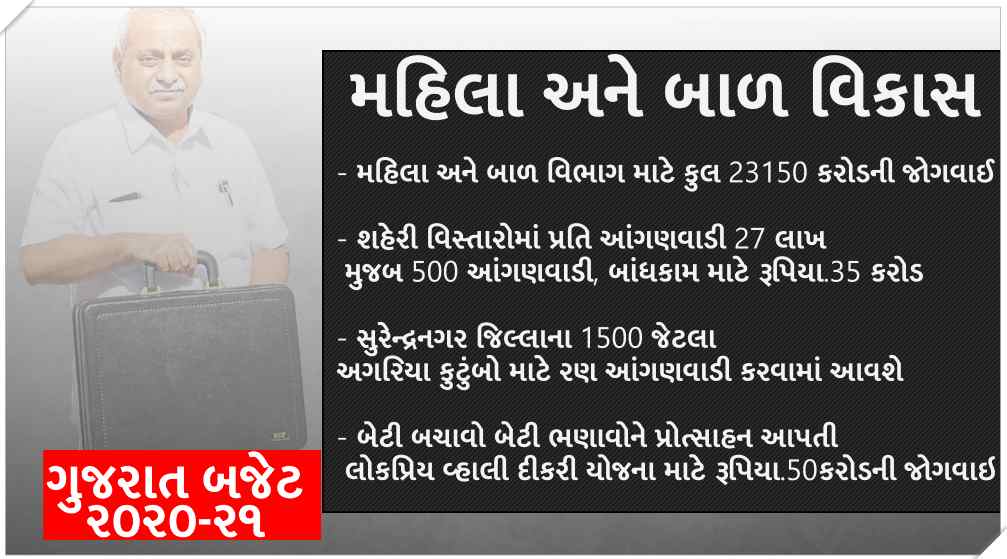 Gujarat Budget 2020-21: Know what is the provision for women and children department?